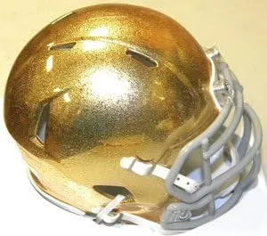 Notre Dame Fighting Irish GOLD HYDROFX Riddell NCAA Replica Revolution SPEED Mini Helmet (S)