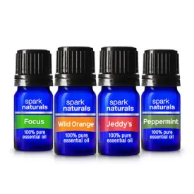 School Essentials | 4-Pack Kit